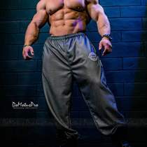 Fitness Net red with LA quick-dry fitness training basketball size loose breathable sweat trousers