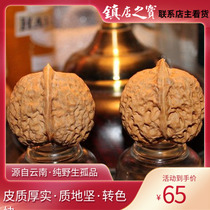 Extra big play walnut belly 42mm around antique walnut lion head Wild Other Miscellaneous special
