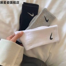 Socks male stockings cotton socks in the streets spring summer and autumn tide show girl sports skateboard