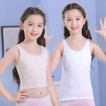 Girls development period small vest primary and secondary school vest underwear pure cotton long vest wear anti-bump point in the first development