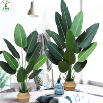 Simulation Plant Living Room Pendulum Large Nordic Green Planting Brigade People Banana Interior Decoration Fake Flowers Emulation Tree Sky Parlor Potted Plant