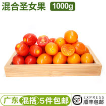 Fresh red and yellow cherry tomatoes cherry tomatoes fresh pregnant women baby fruit farm 2kg