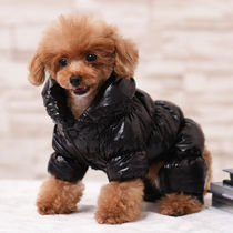 Winter thick dog down jacket Teddy Bumi Bear puppy cat clothes pet clothes four feet Autumn Winter