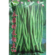 Thailands extra-long bean seeds without tendon and silkless beans high-yield kidney bean seeds disease-resistant spring sowing open-air greenhouse