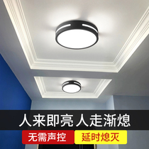 Human body sensor light household aisle sound control light radar smart light corridor staircase entrance corridor led ceiling light