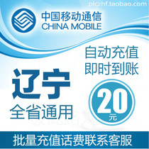 Liaoning Mobile 20 yuan fast recharge card mobile phone payment payment telephone fee seconds rush China Shenyang Dalian Yingkou Panjin