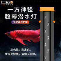 One side of the Dragon Fish Magic Lamp fish tank colorful diving light ultra-thin led aquarium light golden red dragon special hair color lamp