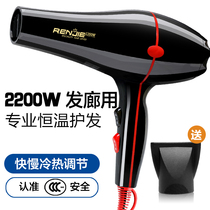 Ren Jie hair dryer RCE817 high power 2200W hot and cold wind home hair salon Barber shop pet hair dryer