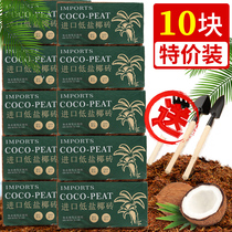 Coconut Brick Nutrient Soil Universal Desalinated Coconut Brick clear bin Special Vegetable Coarse Coconut Shell Raised Broccoli Soil