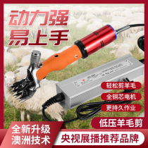 Tiger Chen New Low Pressure High Power Electric Wool Cut Whole Goat Generic North Dollar Wool Electric Pushback