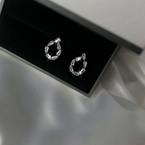 Shiny drop ear nail pass body 925 pure silver delicate full drill Han version eardrop woman temperament anti-allergy earrings