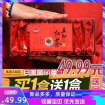 Buy one get one free Thorn five Jia belong to the same Wusuli River short stem five Jia red tea leaf seed fruit puree skin root ginseng green tea