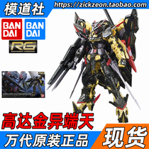 BANDAI BANDAI RG 1 144 GOLD CONFUSION Gold Heresy Temina Gundam