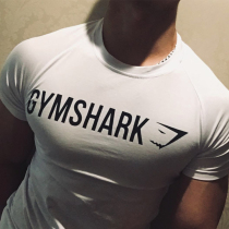 Muscle gym brother shark short-sleeved fitness summer tide brand basketball fitness training sports breathable short-sleeved t-shirt