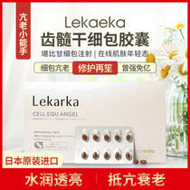 Japan Immortality Tooth Medullary cell capsule cell zai raw energy pill sleep immunity oral gan cell