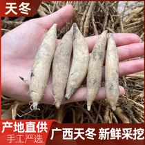 Guangxi now dig fresh and great winter to root for the asparagus 500g Bubbly Wine Saucepan Soup New asparagus