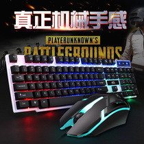(Special offer every day)Jinheda e-sports game keyboard and mouse set luminous game keyboard and mouse colorful mechanical hand sleeve