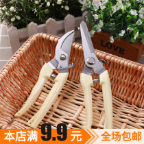 Stainless steel garden branch trim cut fruit and flowerwood cut fruit tree floral branch grafting garden scissors tool