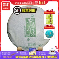 Dayi Puer tea 2013 early spring arbor 357 grams of raw tea green cake Yunnan Qizi cake 1301 batches of tea