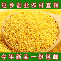 Yellow millet small yellow rice new rice 5 pounds of farm-produced millet rice fat millet porridge rice whole grain rice