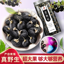 Black wolfberry big fruit wash-in authentic black grou male kidney non-Ningxia wild martyrum