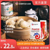 Angel high activity dry yeast powder 500g filial piety mother powder household steamed buns Steamed bread hair powder commercial baking raw materials