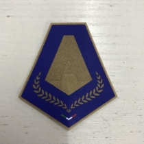 2019-20 Serie A MVP player-specific badge size