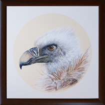 Send solid wood mounting Wang Yuwei watercolor < Condor > Living room Bedroom Bedroom Decoration Collection Pure Hand Painted paper This watercolor