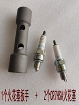 Suitable for SYM Xiamen apricot XS125T-15 heart XS125T-16 Fenghua NGK resistance spark plug