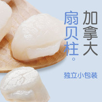 BIG CAT Canadian fresh scallop Sashy-grade complementary food ingredients custom small package 200g