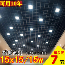 Grille downlight 15X15 square iron aluminum lattice led double head 10*20 cm grape rack special 5 inch black spot light