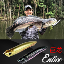 New BONE bones Giant dragon floating pencils The word Dog Wave Climbing Bomber Afar the Bait Teething Sea Bass.