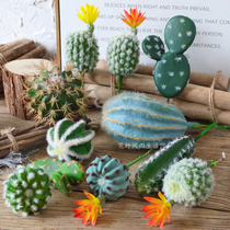 Simulation succulent plant Cactus Cactus column ornaments fake flower combination set ins Nordic style home decoration