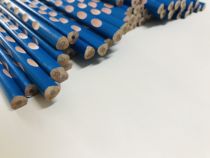 Dongdong Pencil Creativity Student Triangle Custom Correction Pen Prize Children Cartoon Stationery Hb