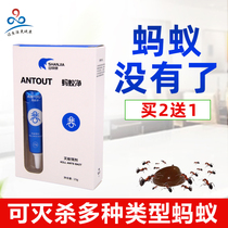 Shanjia brand Ant medicine home and abroad to kill small yellow and black red ants