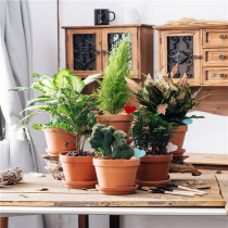 Isogongcang Red pottery fleshy small flower pot Extra large coarse pottery Simple clay ceramic clay tile basin Thumb basin Special package