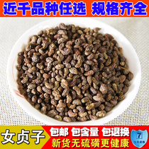 Selected Chinese herbal medicine natural sulfur-free wild new products Ligustrum lucidum powder Ligustrum real Holly 500g