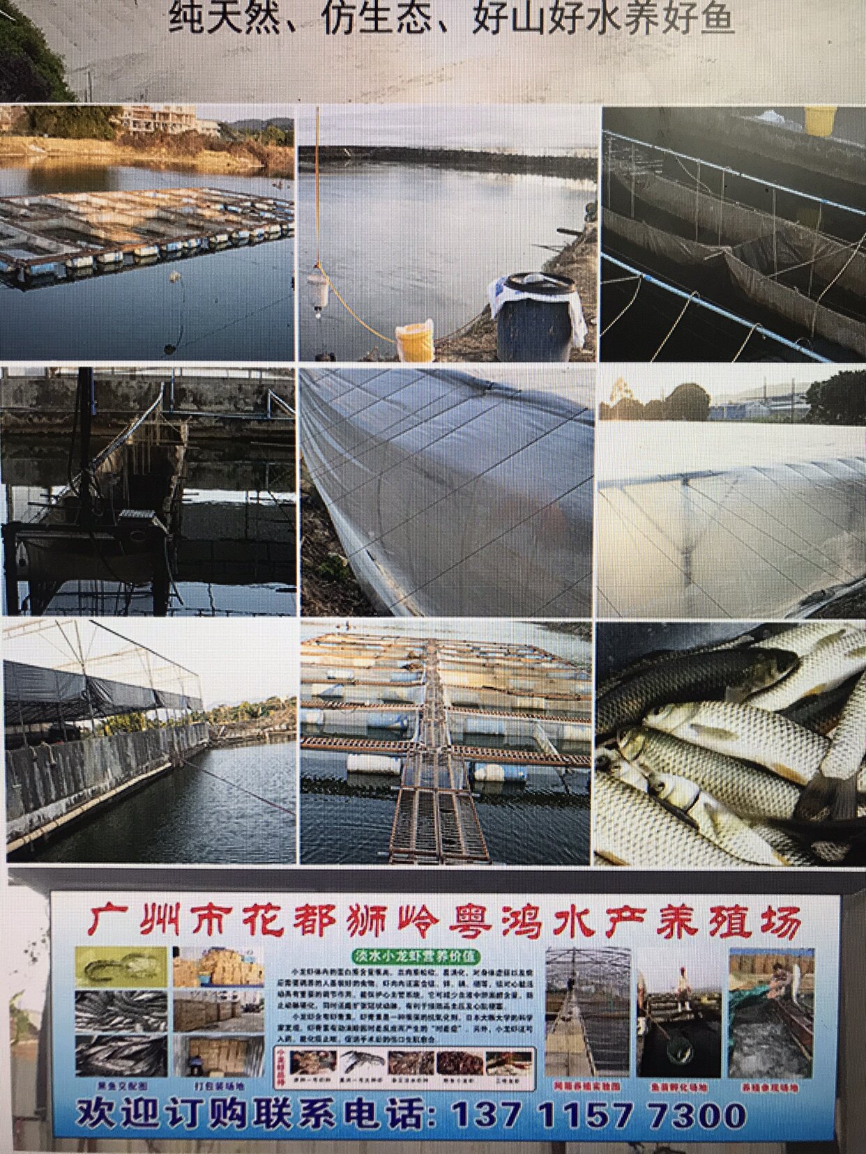 广州粤鸿水产