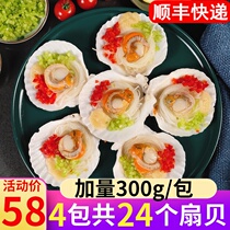 Garlic vermicelli scallops fresh frozen semi-finished ingredients barbecue instant half-shell seafood 4 packs 24