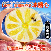 Xinjiang Aksu Ice Sugar Heart Apple Fruit Fresh 5 10 catties When the season is full box Great Red Fuji Ugly Apple gift box