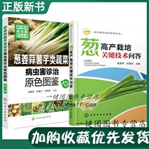 Scallion High-yield Cultivation key technology Q&A Ginger Garlic Fries Potato vegetable Pests Treatment of primary color Tours The second edition of fine fragrant scallions Onion Scallion High Quality High Yield Cultivation of Caterpillar Fungus Pest Control of Onion Storage Preservation and Processing Technology