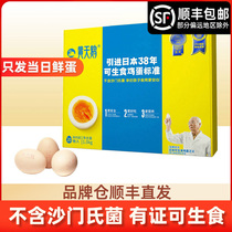 Yellow swan eggs can be eaten raw on the same day fresh eggs shouxi pot Japanese eggs 20 whole box gift boxes