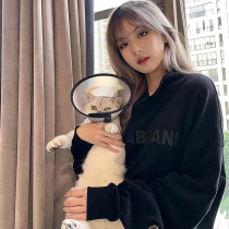 Thickened Silver Fox Suede Autumn winter Letters Round Neckline with loose cover Head country Chauffles pure color Large-size couple of long sleeves