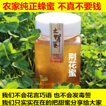 Jingbang honey pure natural farm home-grown wild fresh pregnant woman honey 500g 0 add pure wattle nectar