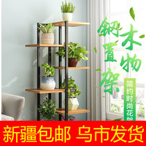 Xinjiang flower shelf indoor household Balcony decoration rack iron living room flower pot green multi-layer hanger