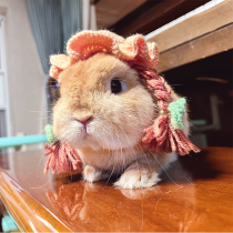 Spot Handmade Rabbit Pet Hat Little Girl Hat Hat Hat Hat Hat Hat Handy Handy Handy Handling Handling Handling