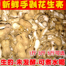 Fresh farmhouse hand peeled peanut shell roughage boiled water Chinese herbal medicine orchid fertilizer unfermented pure manual 3kg 1kg