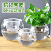 Hydroponic plant glass flowerpot transparent glass vase Ware green grass indoor living room fish tank small basket