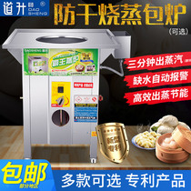 Daosheng commercial steamer steamer steamer energy saving Wangdian steamed steamed bun machine gas steamed bun steam stove steamed bun powder stove