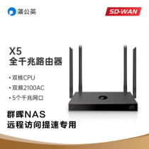 Dandelion X5 VPN router virtual network intranet penetration disk mapping (multi-office version) E